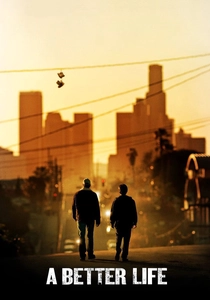 Il sogno di una vita (2011)
