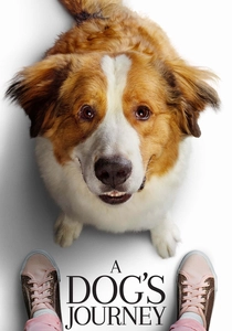 L'Avventura di un Husky (2019)