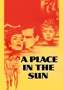 Un Posto al Sole (1951)