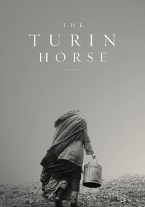 Il Cavallo di Torino (2011)