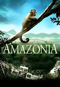 La Foresta Amazzonica (2013)