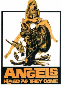I motociclisti della giustizia (1971)