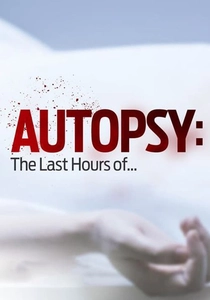 Il Mistero del Cadavere (2014)