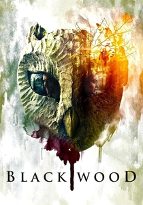 Il Mistero di Blackwood (2014)