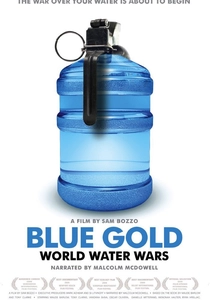 L'Oro Blu (2008)