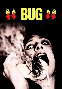 L'Incubo delle Termiti (1975)