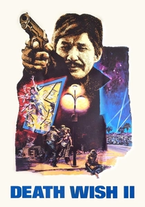 Il giustiziere della strada 2 (1982)