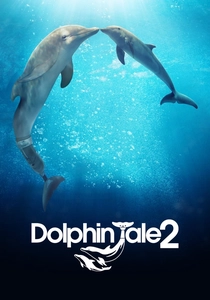 L'Avventura di un Delfino (2014)