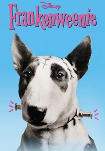 Il piccolo Frankenstein (1984)