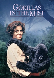 La Montagna della Scimmia (1988)