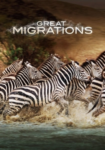 La Grande Migrazione (2009)