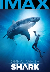 Il Grande Squalo Bianco (2013)