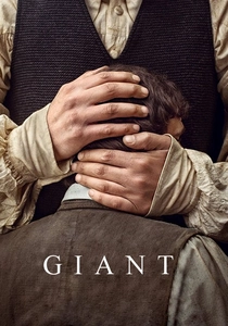 Il mio amico gigante (2017)