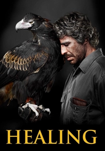La medicina dell'anima (2014)