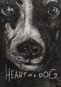 Il Cuore di un Cane (2015)