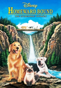 L'incredibile viaggio (1993)
