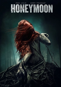 La luna di miele (2014)
