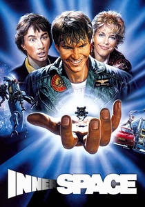 Il viaggio allucinante (1987)