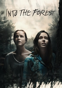 La ragazza nel bosco (2015)