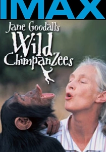 L'Ultimo Scimpanzé di Jane Goodall (2002)