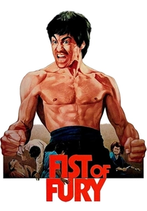 Il Pugno del Dragone (1972)