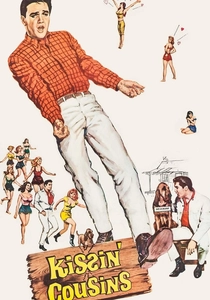 Il ragazzo di campagna (1964)