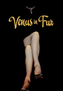 La Venere in Pelliccia (2013)