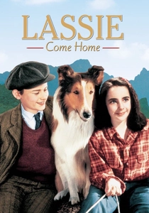 Il Mio Amico Lassie (1943)