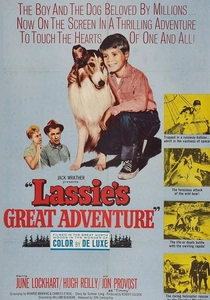 Il mio amico Lassie: L'avventura continua (1963)