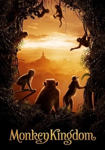 La Scimmia di Dio (2015)