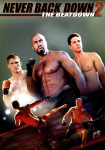 Il Combattente (2011)