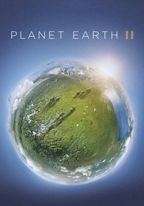 La Terra: Un pianeta in pericolo (2016)