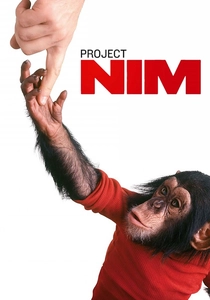 Progetto Nim (2011)