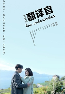 L'interprete (2016)