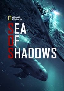 Il Mare in Pericolo (2018)