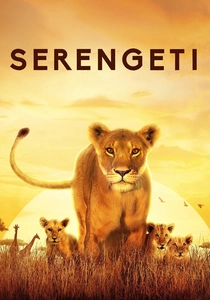 Il Serengeti (2019)