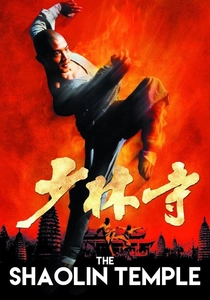 Il Maestro del Kung Fu (1982)