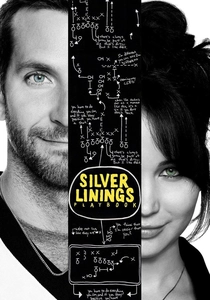 Il Lato Positivo (2012)