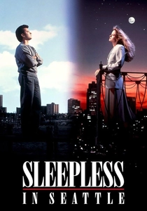 Insonnia d'amore (1993)