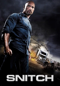 Il sicario - Snitch (2013)