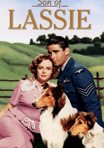 Il mio amico Lassie (1945)