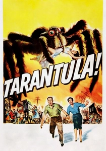 Il Ragno Nero (1955)