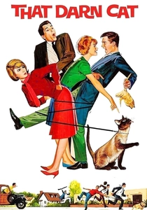 Il Gatto con la Pistola (1965)