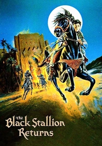 La leggenda del cavallo nero (1983)