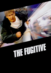 Il fuggitivo (1993)