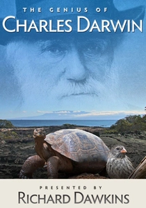 L'Enigma del Genio (2008)