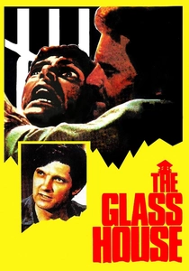 La Casa di Vetro (1972)