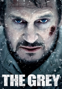 Il Silenzio del Ghiaccio (2011)