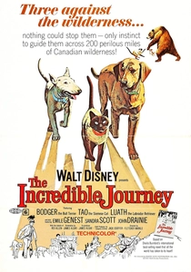 Il grande viaggio (1963)