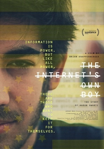 Internet: La nostra vita online (2014)